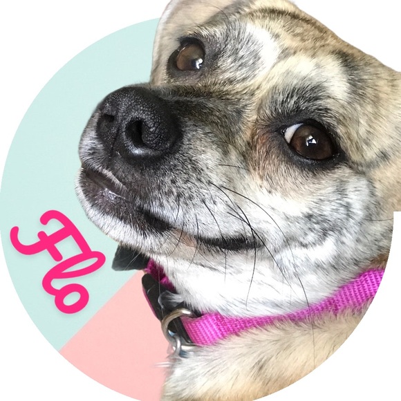 Meet The Posher - Picture 7 of 11